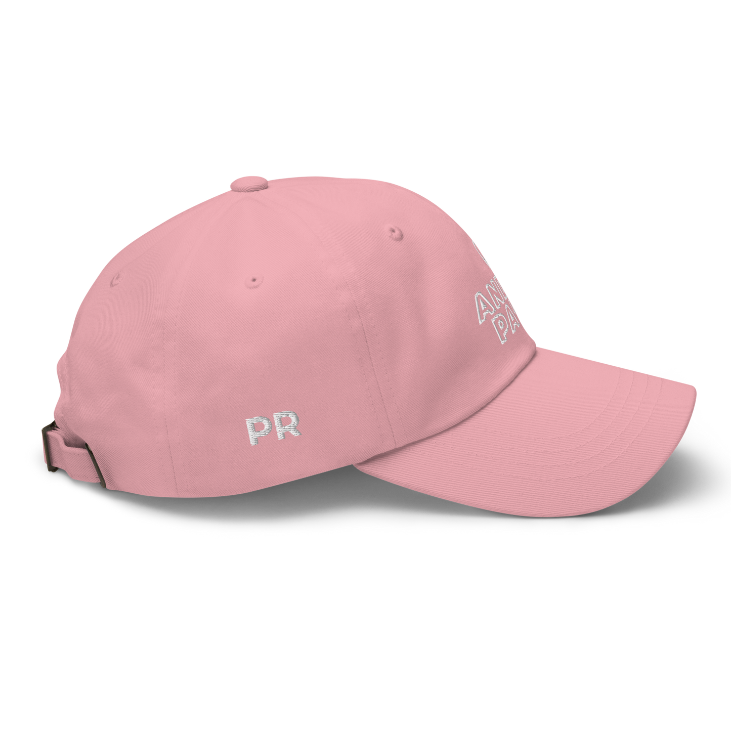 ANDA PAL | BL Dad Hat